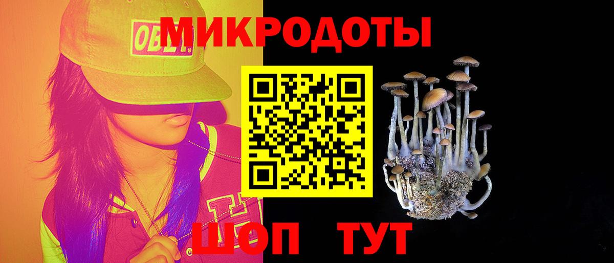 Галлюциногенные грибы ЛСД  Вход с VPN  Электрогорск 